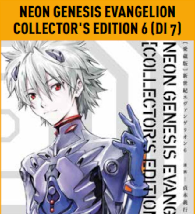 Neon Genesis Evangelion Collector's Edition 6