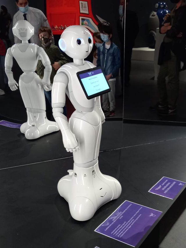 ROBOT - The Human Project – Pepper